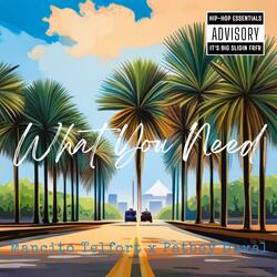 What You Need (feat. Patboy Duval)