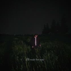 i'll wait for you