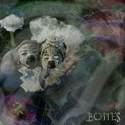 BONES