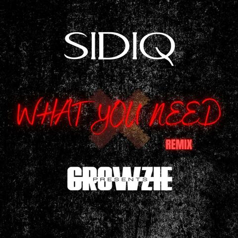 What You Need (feat. Growzie) [Amapiano Remix]