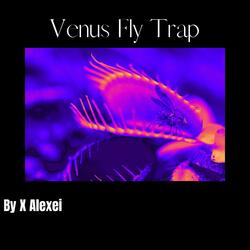 Venus Fly Trap