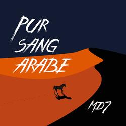 Pur sang arabe