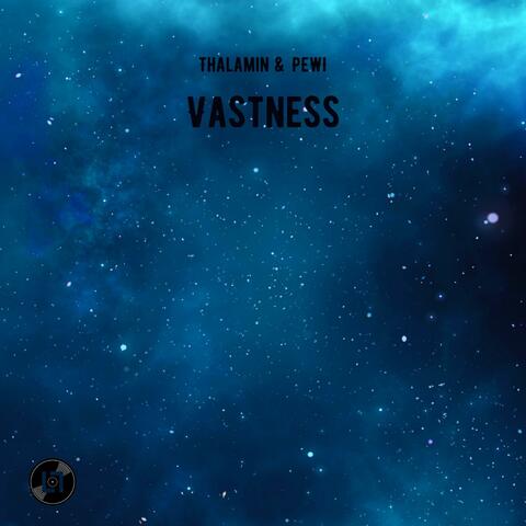 Vastness (feat. Pewi)