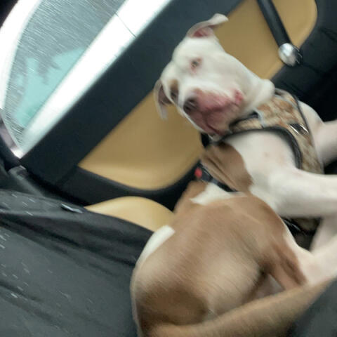 Falling Apart and I Can't Accept It (feat. rudeboykhris)