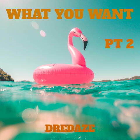 What You Want Pt. 2