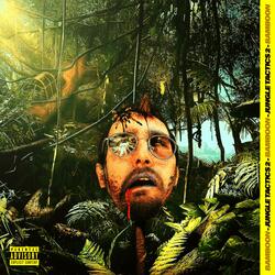 Enemy Fire
