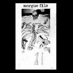 File Twelve