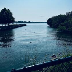 Time Flys (Summer Time Jam)