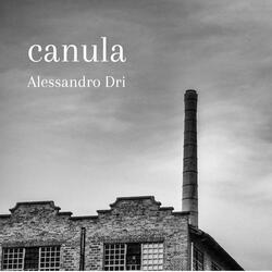 Canula