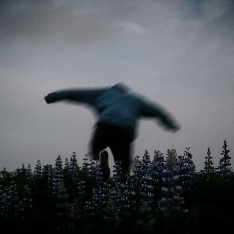 ECHOES