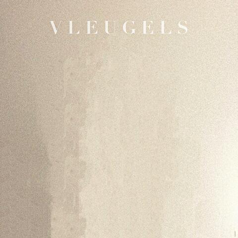 Vleugels