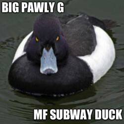 MF Subway Duck
