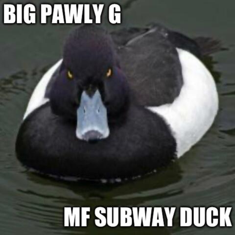 MF Subway Duck