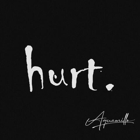 hurt ~ 2023 version