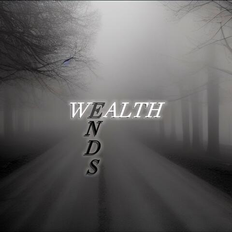 Wealth