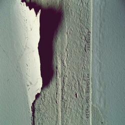 watching the walls