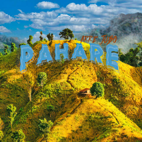Pahare