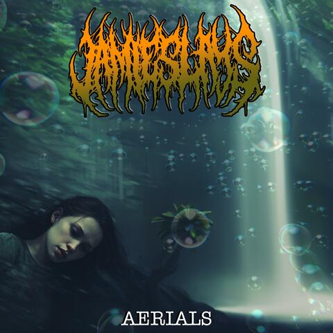 Aerials (feat. Sam Blighe & GhostFace)