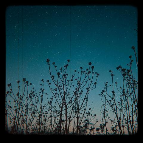 Momente