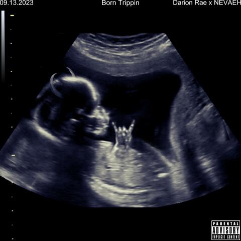 Born Trippin (feat. Nevaeh Noise)