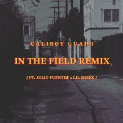 In The Field (feat. CaliboyGuapo & Lil Sneek)