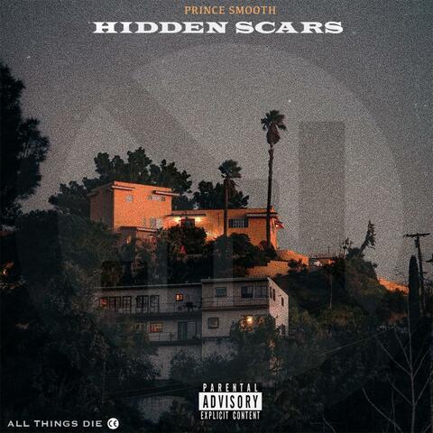 HIDDEN SCARS
