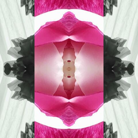 The Kindness Of Friends