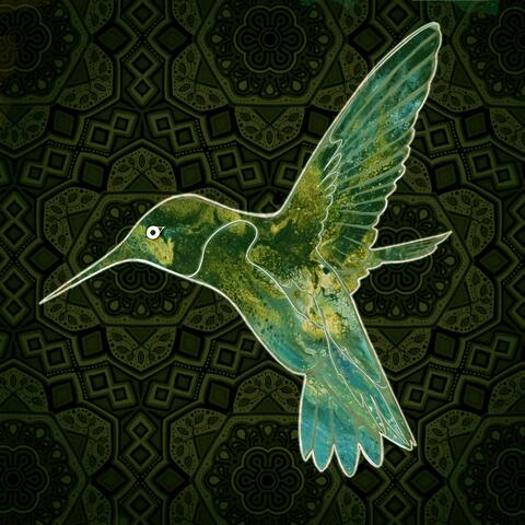 Hummingbird (Acoustic)