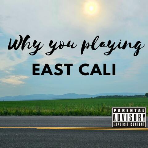 Why you playin