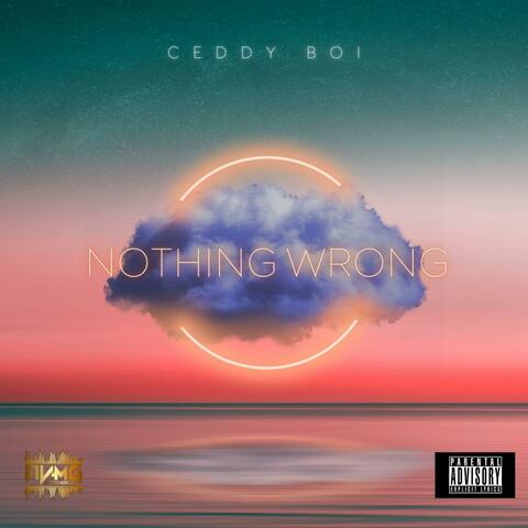 NOTHING WRONG
