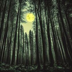 432HZ Theta Brain Waves