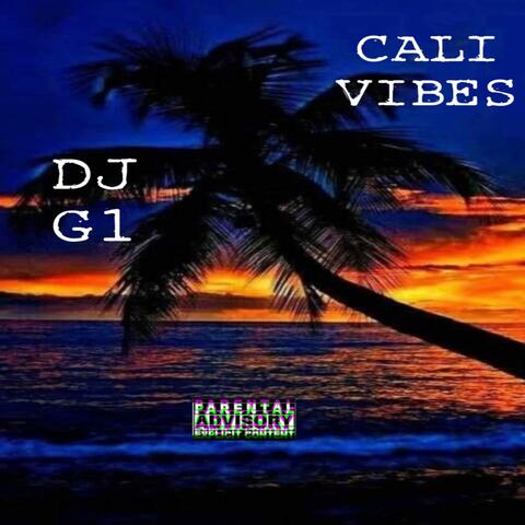 CALI VIBES (feat. DJ PLUG IN)