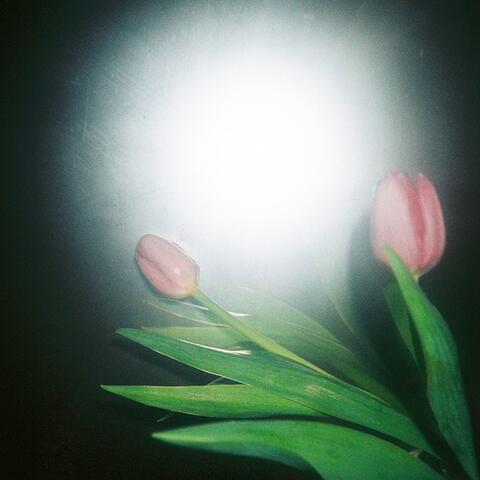 her silver thread (glistening in the night)