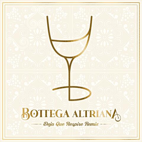 Deja Que Respire (feat. Javier del Futuro) [Diggie Dealer Remix]