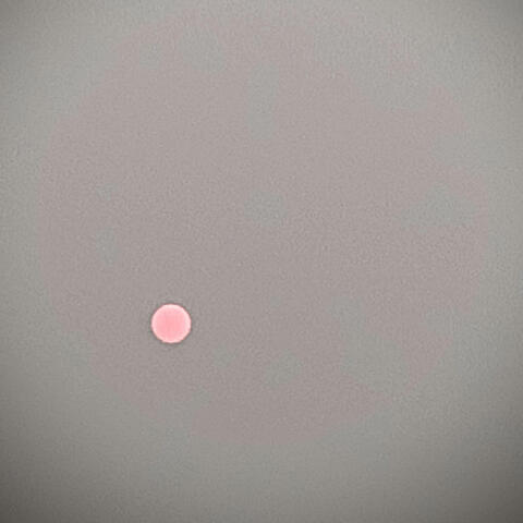 Gods Of Everything Negative