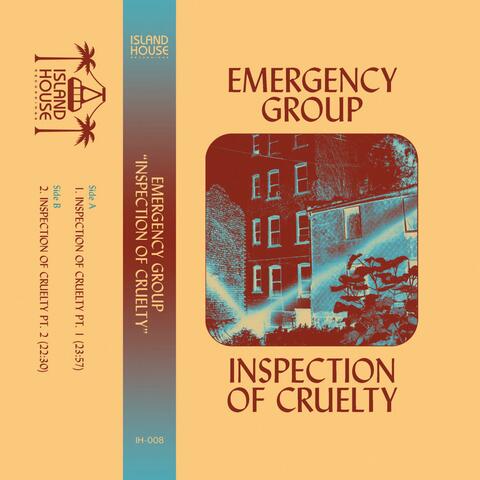 Inspection Of Cruelty