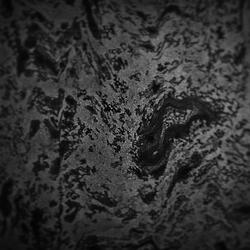 Sons of Light pt2 (the last empty spaces)