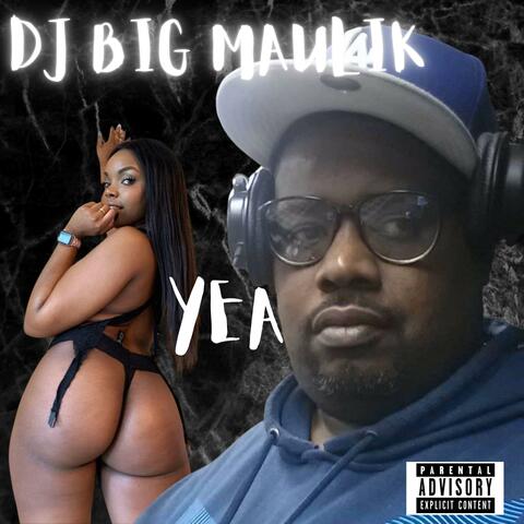 DJ BIG MAULIK