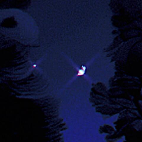 in the moonlight