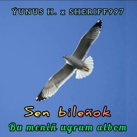 Bilenok (feat. Yunus.H & Sheriff997)