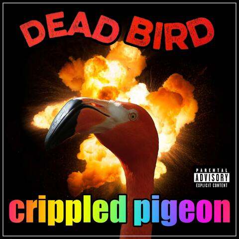 crippled pigeon