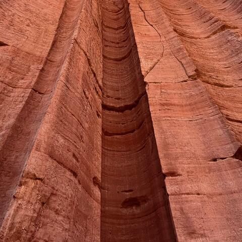 Rumbling Elephant (Temple Sessions)