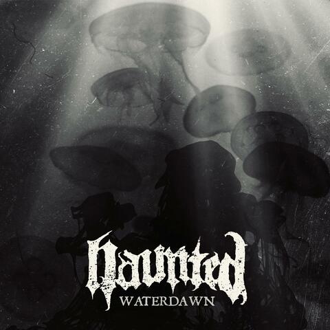 Waterdawn