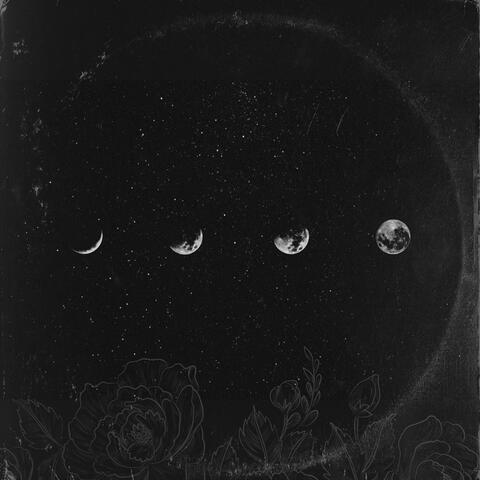 Fly Me To The Moon