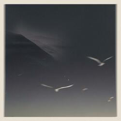 Feather Light and Paper Thin