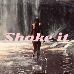 Shake It (feat. G.T.D)