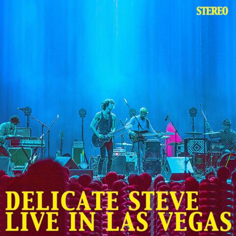 Delicate Steve Live in Las Vegas