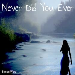 Never Did You Ever