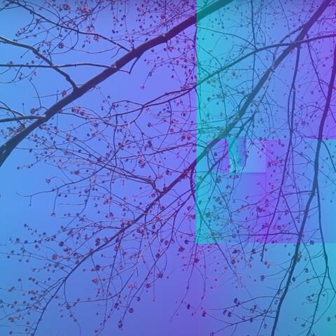 Moment Two