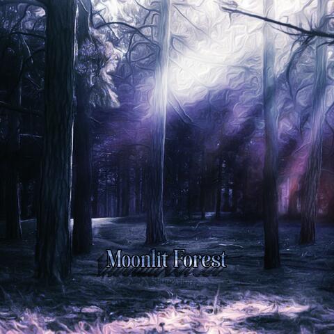 Moonlit Forest